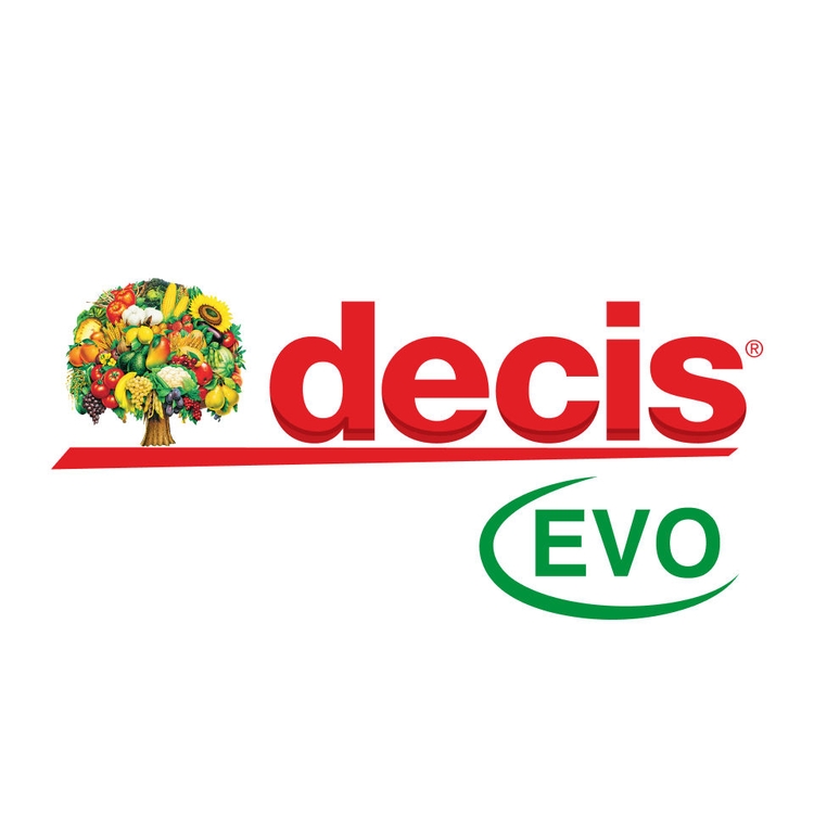 Embalaje del producto 1