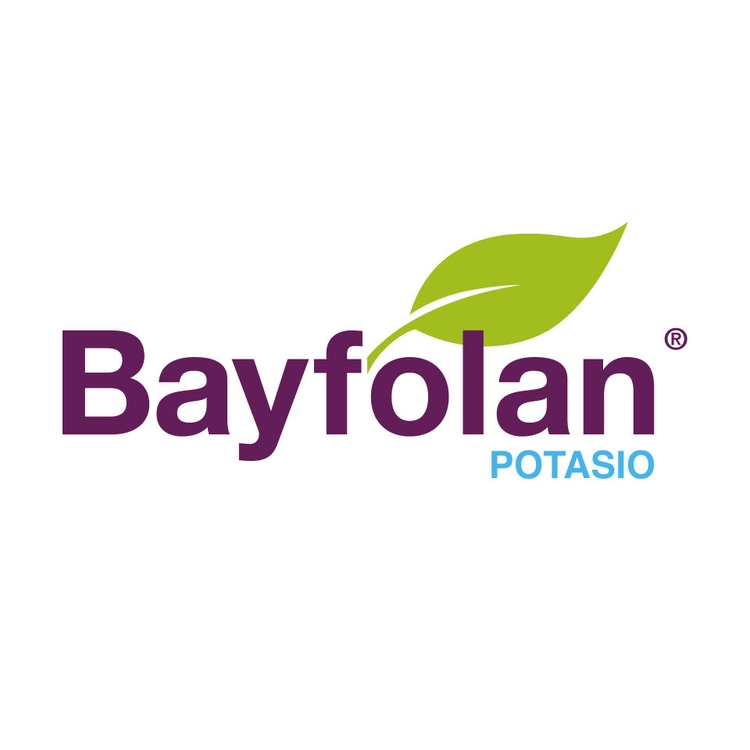 Embalaje del producto 1