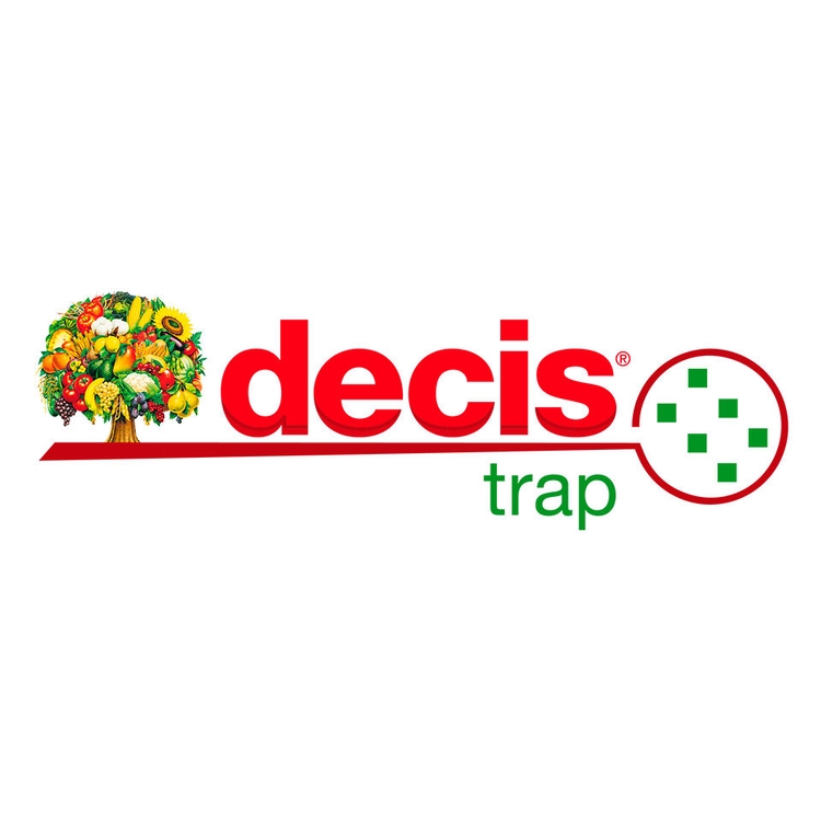 Embalaje del producto 1
