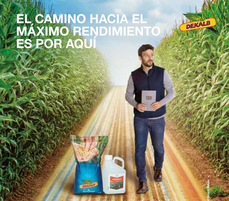 Catálogo Centro Sur, Extremadura y Andalucía