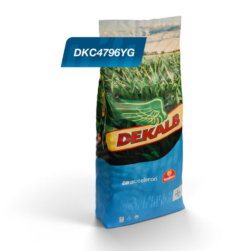 Embalaje del producto