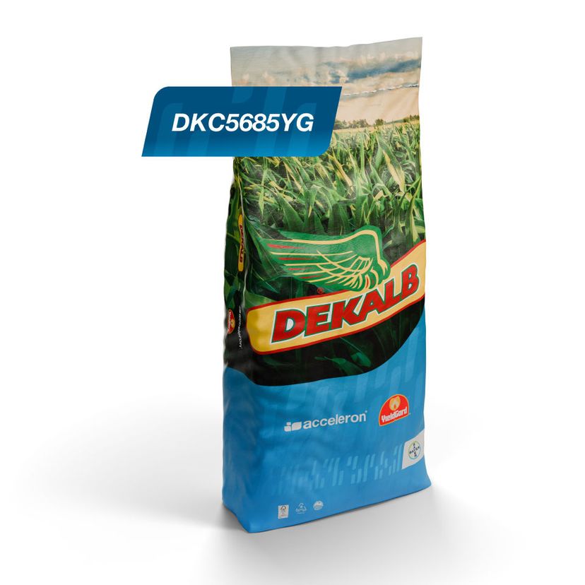 Embalaje del producto