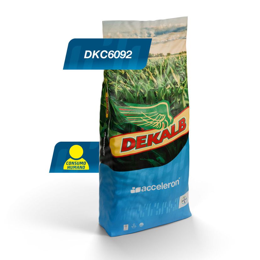 Embalaje del producto