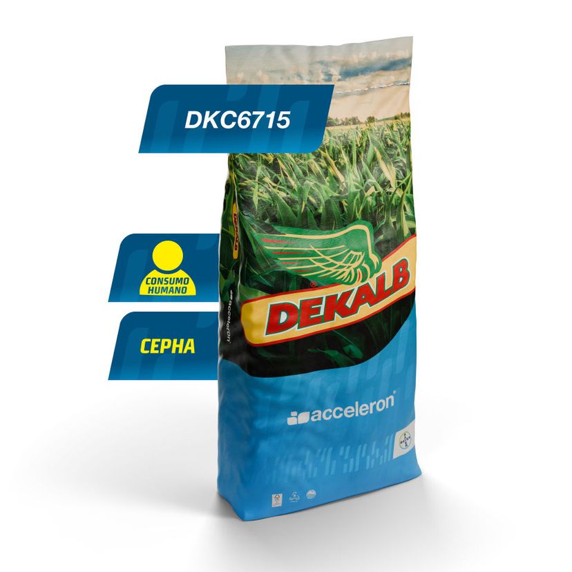 Embalaje del producto