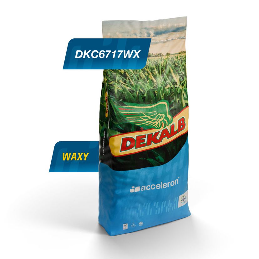 Embalaje del producto