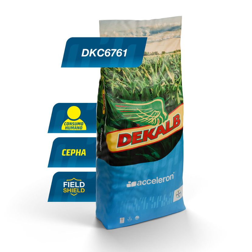 Embalaje del producto