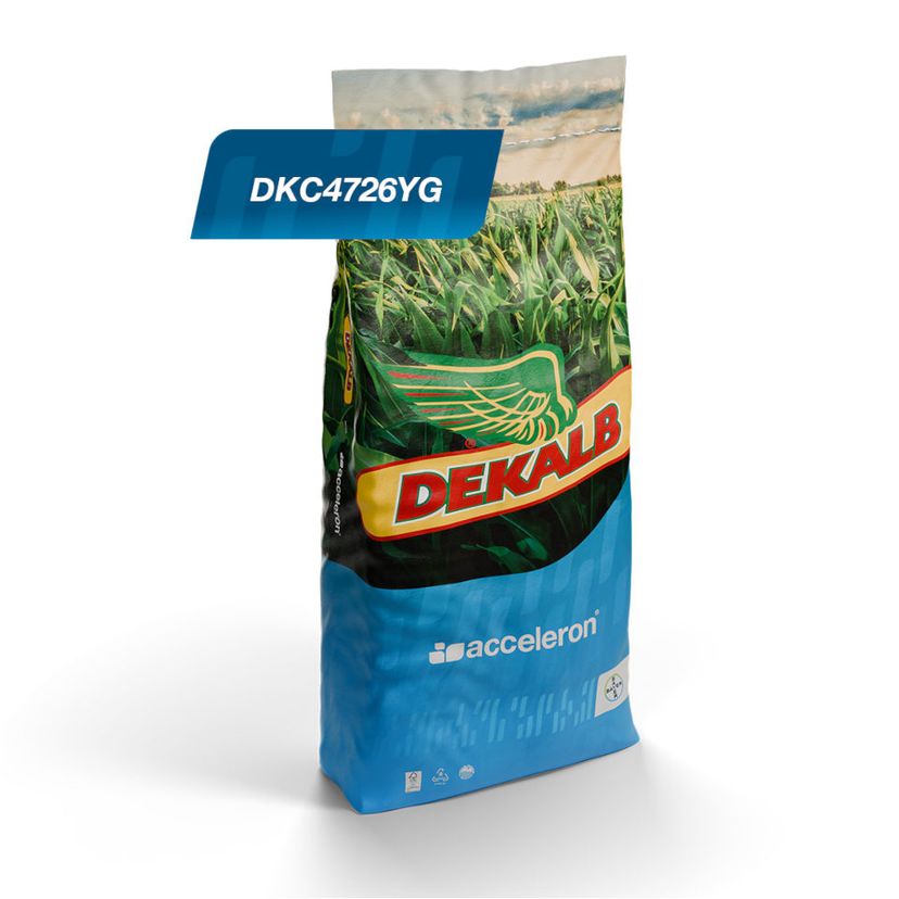 Embalaje del producto
