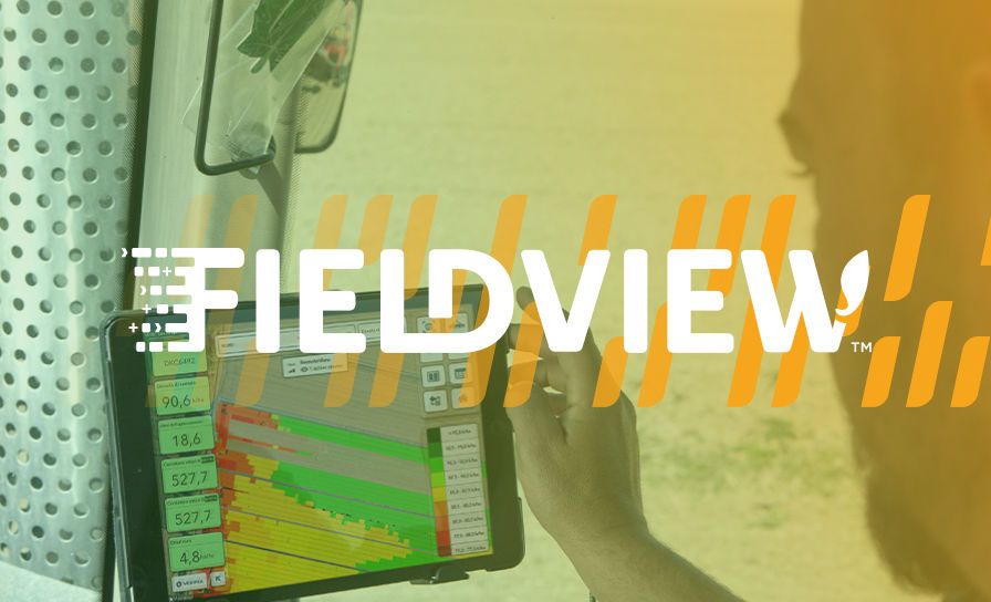 FieldView