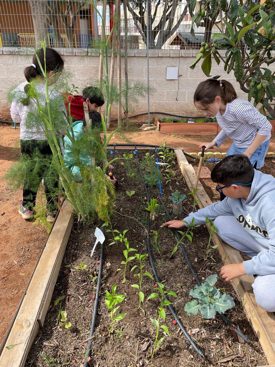 1.000 estudiantes almerienses participan en la 3ª Edición de Baylab