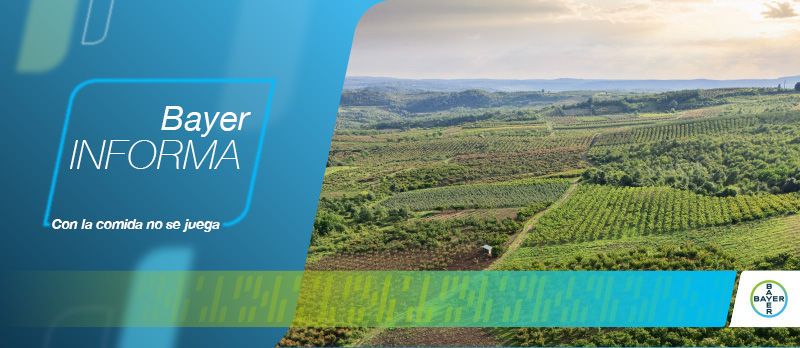 Optimizar el uso de nutrientes en un contexto energético desafiante