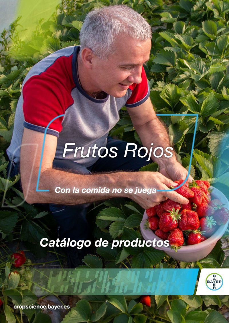 Frutos Rojos