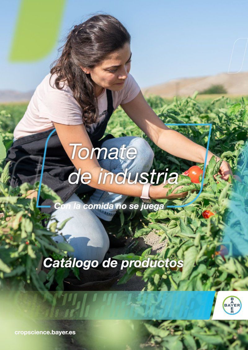 Tomate de Industria