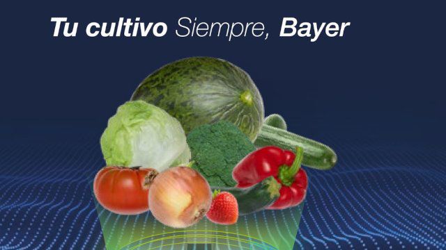 Mildiu en hortícolas y cómo controlarlo